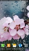 Rainy Flowers QMobile NOIR A10 Wallpaper