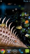 Aquarium Samsung Galaxy Y S5360 Wallpaper