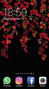 Floral Samsung Galaxy Prevail 2 Wallpaper