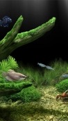 Aquarium Samsung Galaxy Prevail 2 Wallpaper