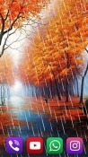 Autumn Rain Android Mobile Phone Wallpaper