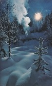 Snow HTC Hero Wallpaper