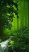 Forest HTC Hero Wallpaper