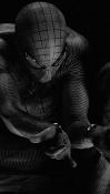 Spider Man  Mobile Phone Wallpaper