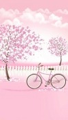 Bike  Mobile Phone Wallpaper