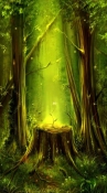 Forest Waterfall Amazon Fire Phone Wallpaper