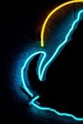 Neon Light  Mobile Phone Wallpaper