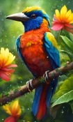 Colorful Bird Nokia 3210 Wallpaper