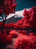 Volcano Garden Nokia 125 Wallpaper