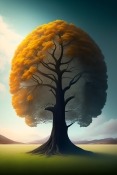 Tree Of Life Nokia 105+ (2022) Wallpaper