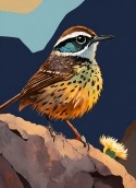 Cute Bird QMobile NOIR A10 Wallpaper