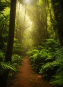 Tropical Forest Xiaomi Poco F6 Pro Wallpaper