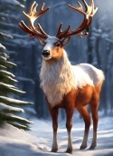 Christmas Reindeer Huawei Ascend P6 Wallpaper
