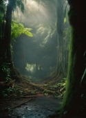 Rainforest Vivo X7 Plus Wallpaper