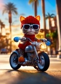 Cute Cat On Bike QMobile NOIR A10 Wallpaper