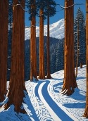 Snow Forest Motorola DROID Maxx Wallpaper
