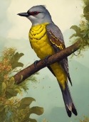 King Bird QMobile Q50 Wallpaper