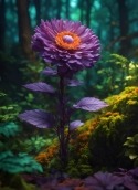 Purple Flower Realme Narzo Wallpaper