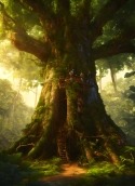 Giant Tree Vivo iQOO 11 Wallpaper