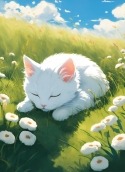 Cute Cat Samsung Galaxy S II Skyrocket i727 Wallpaper