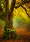 Forest Tree Sony Ericsson Xperia ray Wallpaper