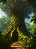 Giant Green Tree Micromax A67 Bolt Wallpaper