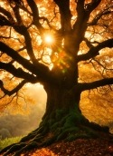 Giant Tree G&amp;#039;Five Eshare A68 Wallpaper
