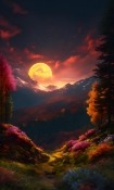 Beautiful Sunset Samsung i740 Wallpaper