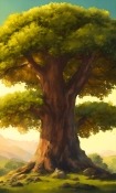 Giant Tree HTC Rhyme Wallpaper