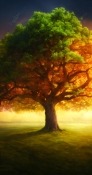 Magical Tree Vivo iQOO 3 5G Wallpaper