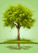Green Tree Huawei P50 Pocket Wallpaper