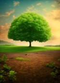 Green Tree Vivo Y70 Wallpaper