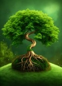 Green Tree QMobile Noir A55 Wallpaper
