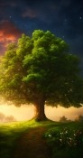 Giant Green Tree TCL 50 5G Wallpaper