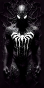 Spiderman QMobile Noir M350 Wallpaper