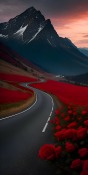 Road BlackBerry Curve 8530 Wallpaper