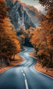 Road Samsung i600 Wallpaper