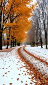 Snowy Road Coolpad Cool 30i Wallpaper