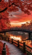 Autumn Bridge HTC Pure Wallpaper