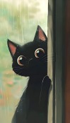 Cute Cat Realme Narzo 50 Wallpaper