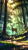 Forest Cubot A30 Wallpaper