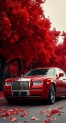 Red Rolls-Royce iBall Andi 5K Panther Wallpaper